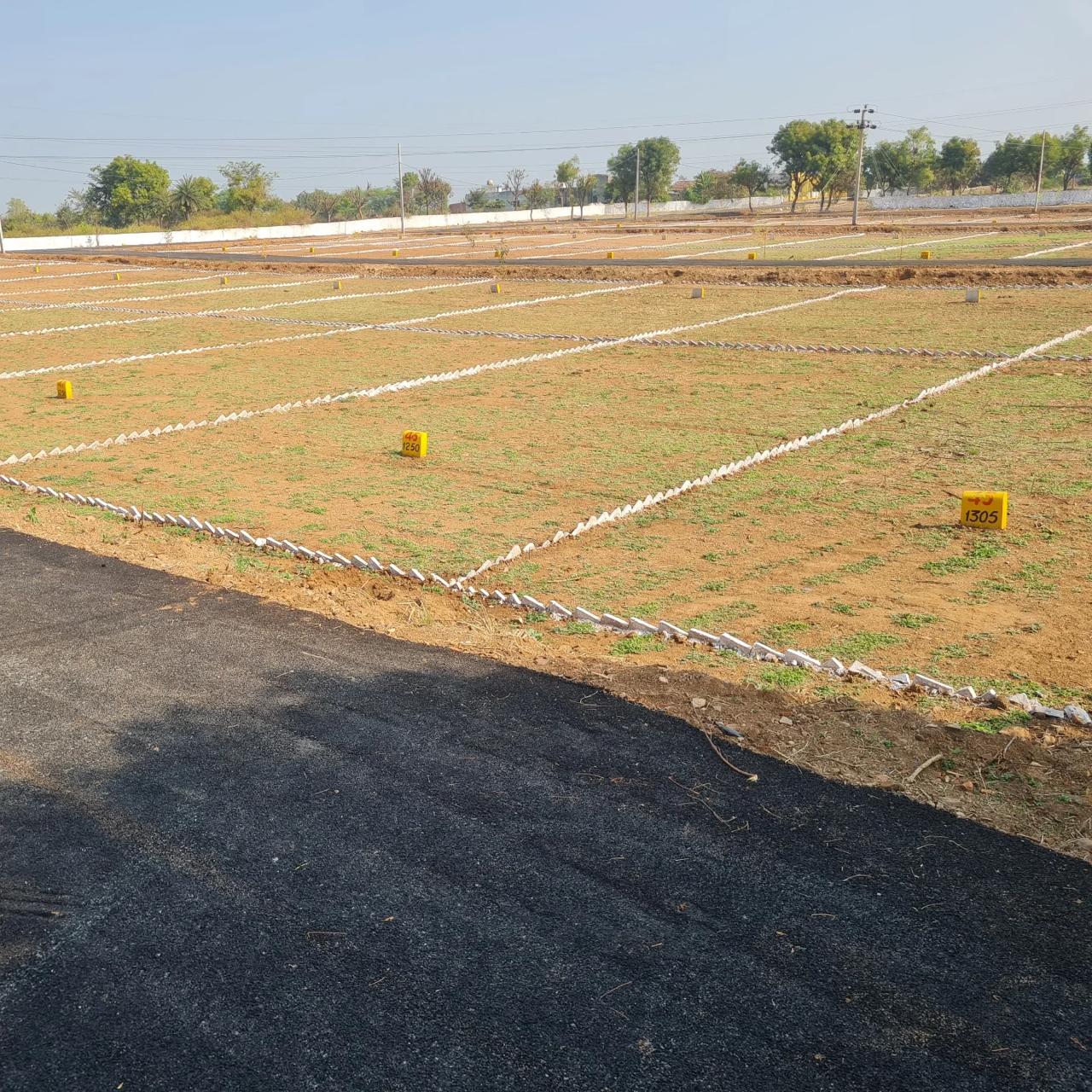 Site Photo 6